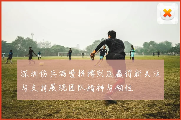 深圳伤兵满营拼搏到底赢得新关注与支持展现团队精神与韧性