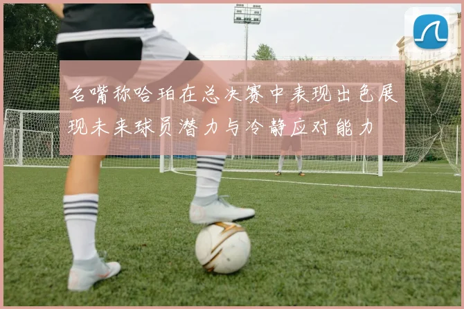 名嘴称哈珀在总决赛中表现出色展现未来球员潜力与冷静应对能力