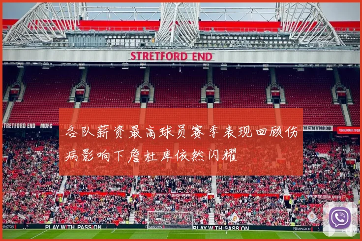 各队薪资最高球员赛季表现回顾伤病影响下詹杜库依然闪耀